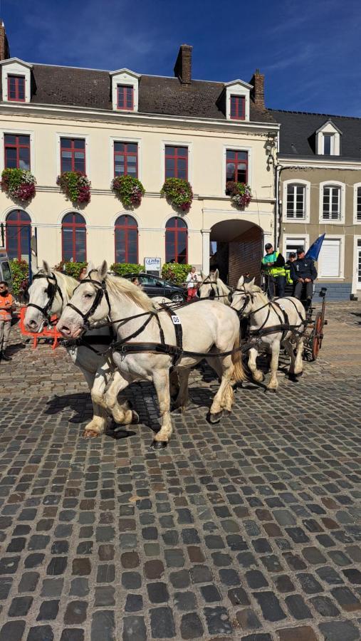 Gite La Grange 8Personnes Au Sein D'Un Elevage De Chevaux Brucquedal Kültér fotó